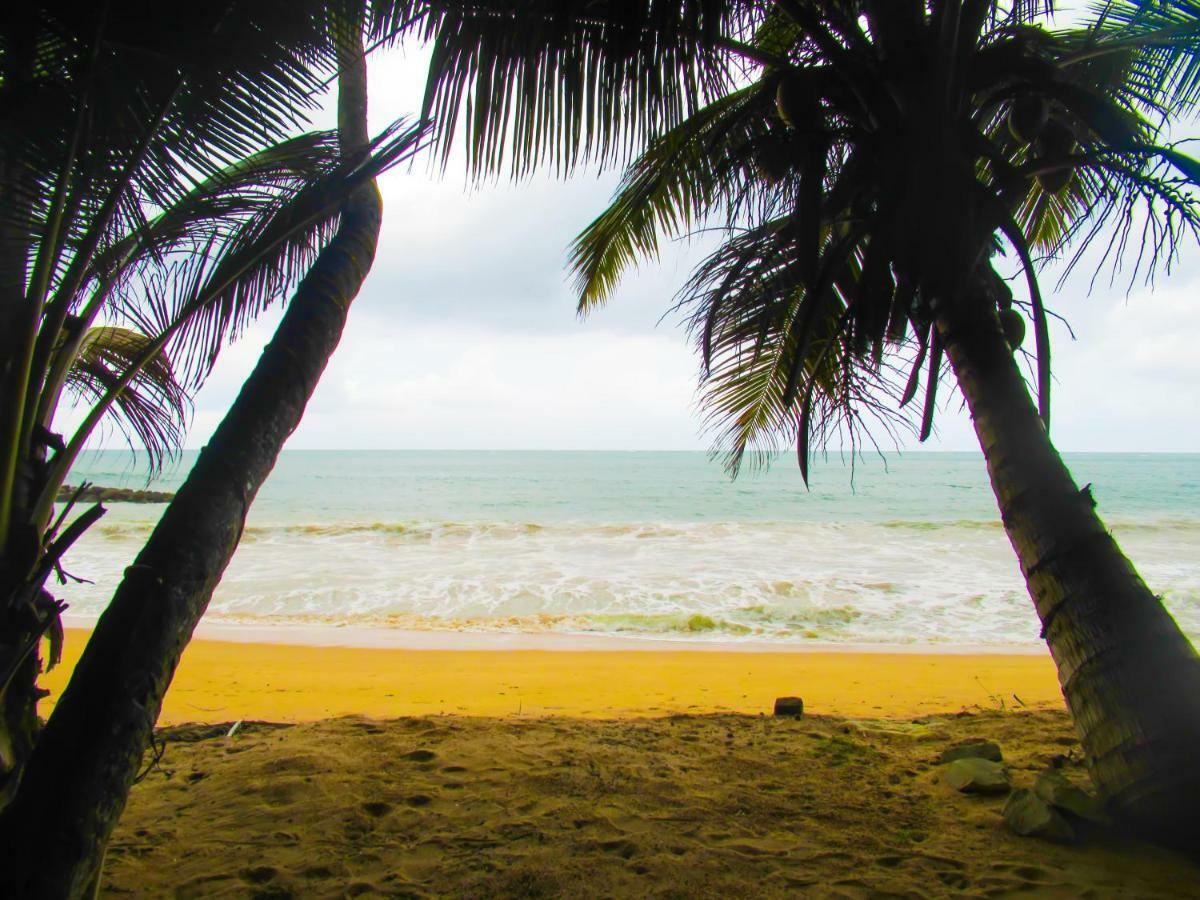 Shanika Beach Inn Tangalle Bagian luar foto